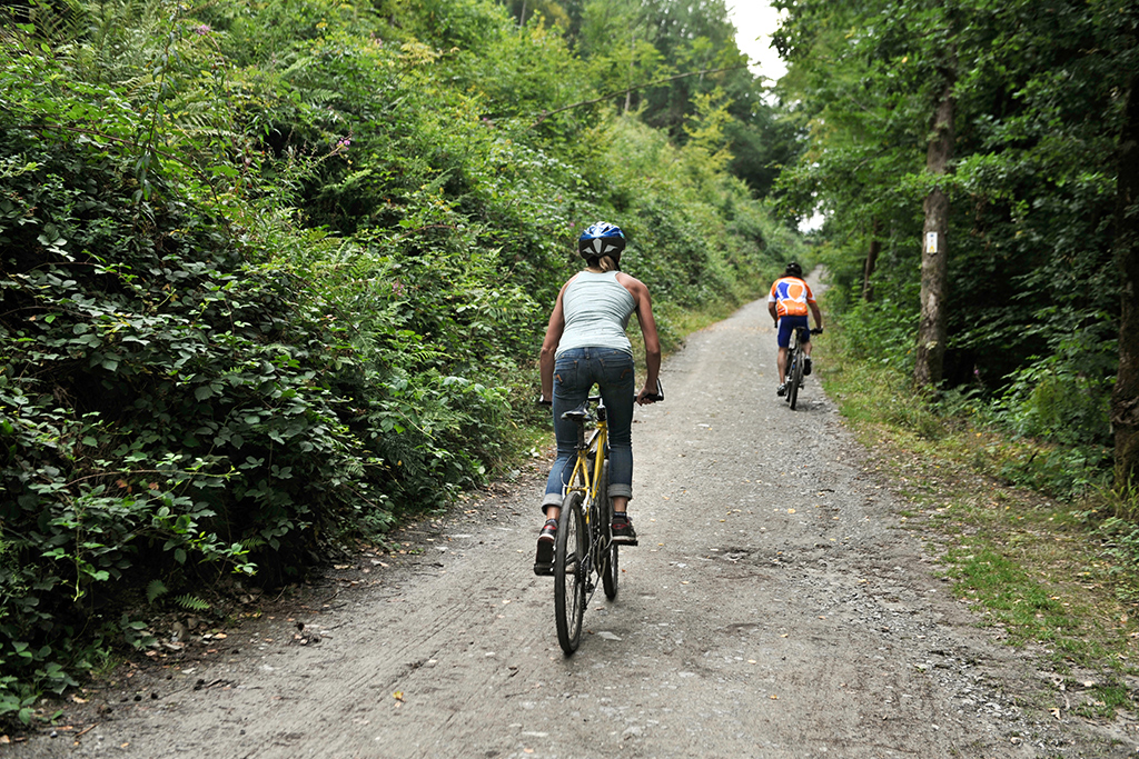 Activiteiten voor fietsers in omgeving Mol