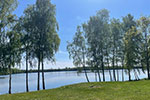 Bed & Breakfast De Zandput in Balen (Mol)